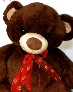 Brown Puii