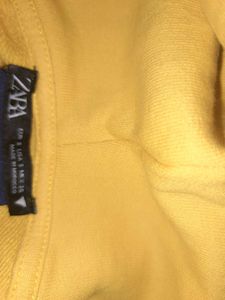 Zara Hoodie