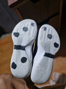 Nike Jordan Cp3.VII