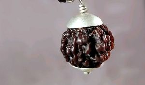 8 Mukhi Rudraksha (925 Silver Clapping) Nepali