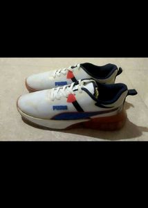 Men Shoe