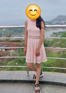 Pink Lace Fit &amp; Flare Dress