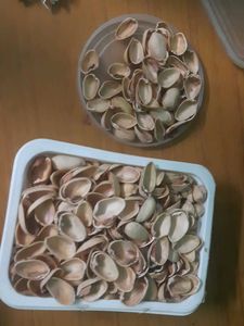 Pistachio Shells Pista For DIY Craft