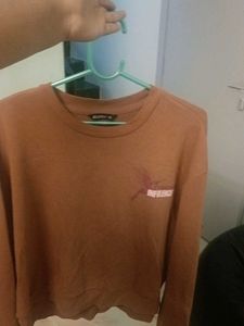 Brown Crop Sweatshirt