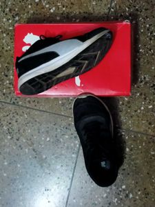 Puma Sport Shoes
