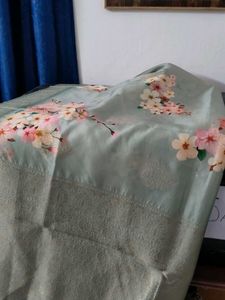 New ,Pastel Green Origanza saree