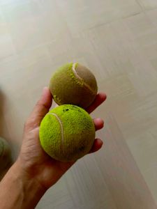 Used Tennis Balls - 8 Pack