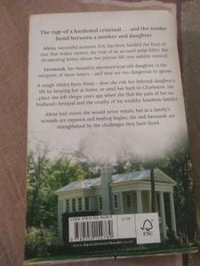 Southern Lights - Danielle Steel