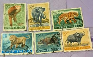 RARE 1963 WILDLIFE Full Set