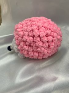 Cute Crochet Hedgehog Plushie🦔🎀