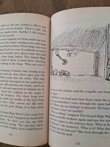 The Witches by Roald Dahl