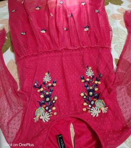 Pink Embroidered Mesh Dress
