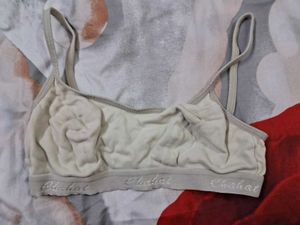 Women&#39;s Bra 7 And 3 Briefs