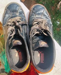 Puma Shoe