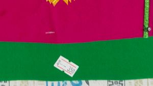 Colorful Embroidered Salwar Kameez Set