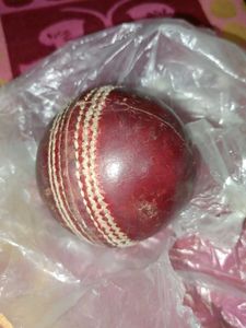 Cricket SG Leather Ball