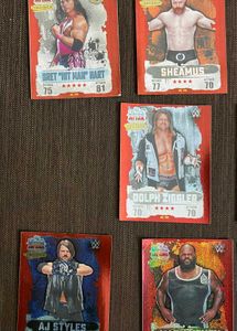 WWE Jumbo Stickers (Center Fruit 2017 Campaign)