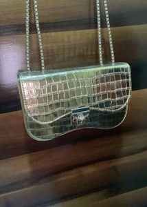 golden hand bag ( ceiling ba