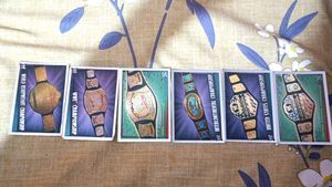 Vintage WWE Championship Cards