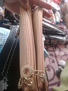 Beautiful Brand New Sling Bag