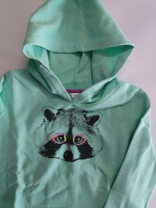 Cute Teal Blue Colored Hoodie From USA