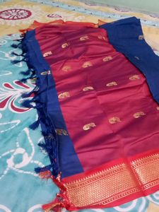 Silk Saree Bulbul