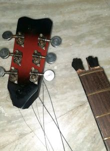 Guitar