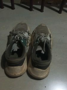Used Sneakers