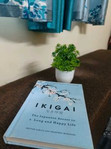 IKIGAI - The Japanese Secret To Long &amp; Happy Life!