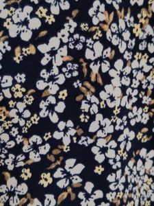 Ginger Women Blue Viscose Floral Printed Dress