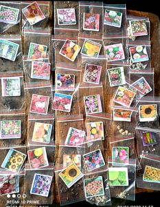 Flower Seeds ( Set Of 30 )