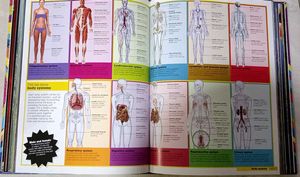 Know It All Book