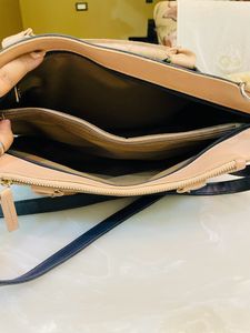 Baggit Handbag