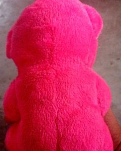 Pink &#34;Best Wisher&#34; Teddy Bear
