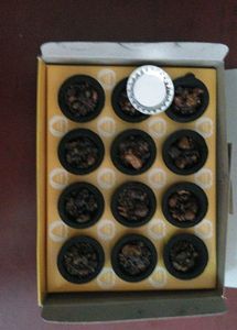 PREMIUM CUP SAMBARANI