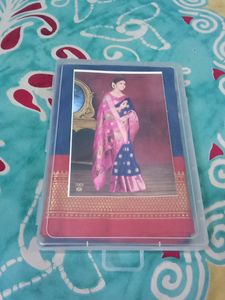 Silk Saree Bulbul