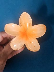 Flower Hair Clips (Set of 4)