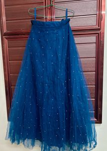 Blue Embellished Lehenga Choli