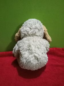 Dog Soft Toy / Teddy Bear