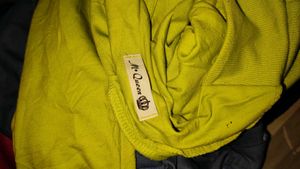 Green Crop Top - Trendy Style