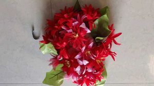 Diwar Flower 🌹