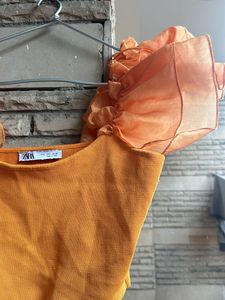 Zara Organza Sleeves Crop Top