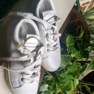 shoe