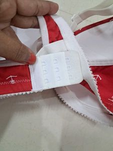 Lightly Padded Soft Envie Brand Bra