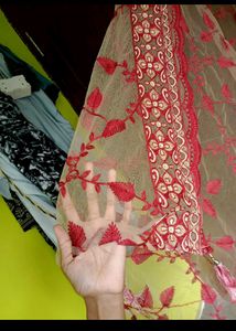 Net Chhunari Duppata