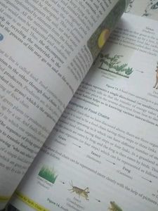 Class 10 S Chand Reference Books