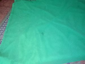 Georgette  Plain Saree