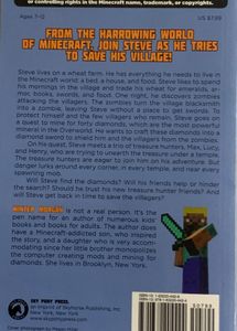 Quest for the Diamond Sword Minecraft Novel