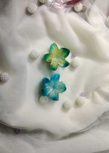 Floral Hair Clips (Set of 2)