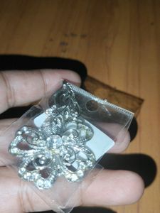 Beautiful Saree Pin